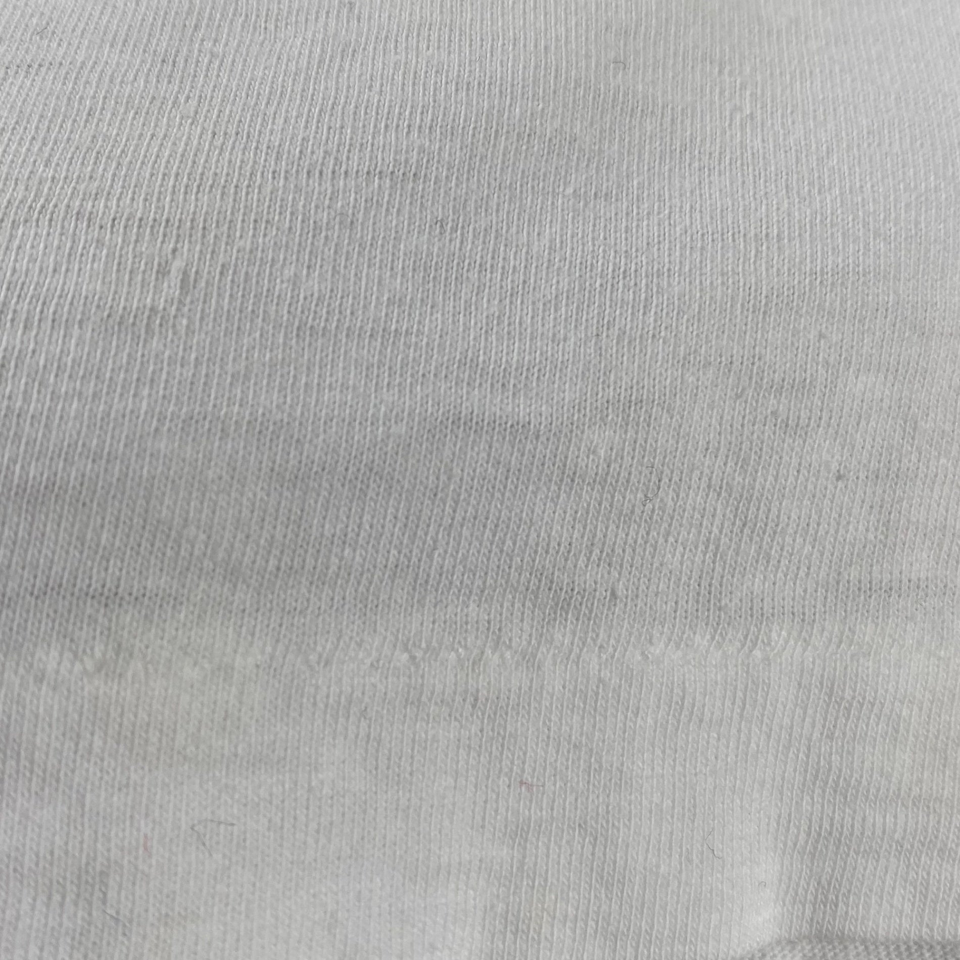 VINTAGE CLAUDE MONET クロード モネ / VINTAGE The Japanese Bridge TEE 絵画 ヴィンテージ アート Tシャツ SIZE：L