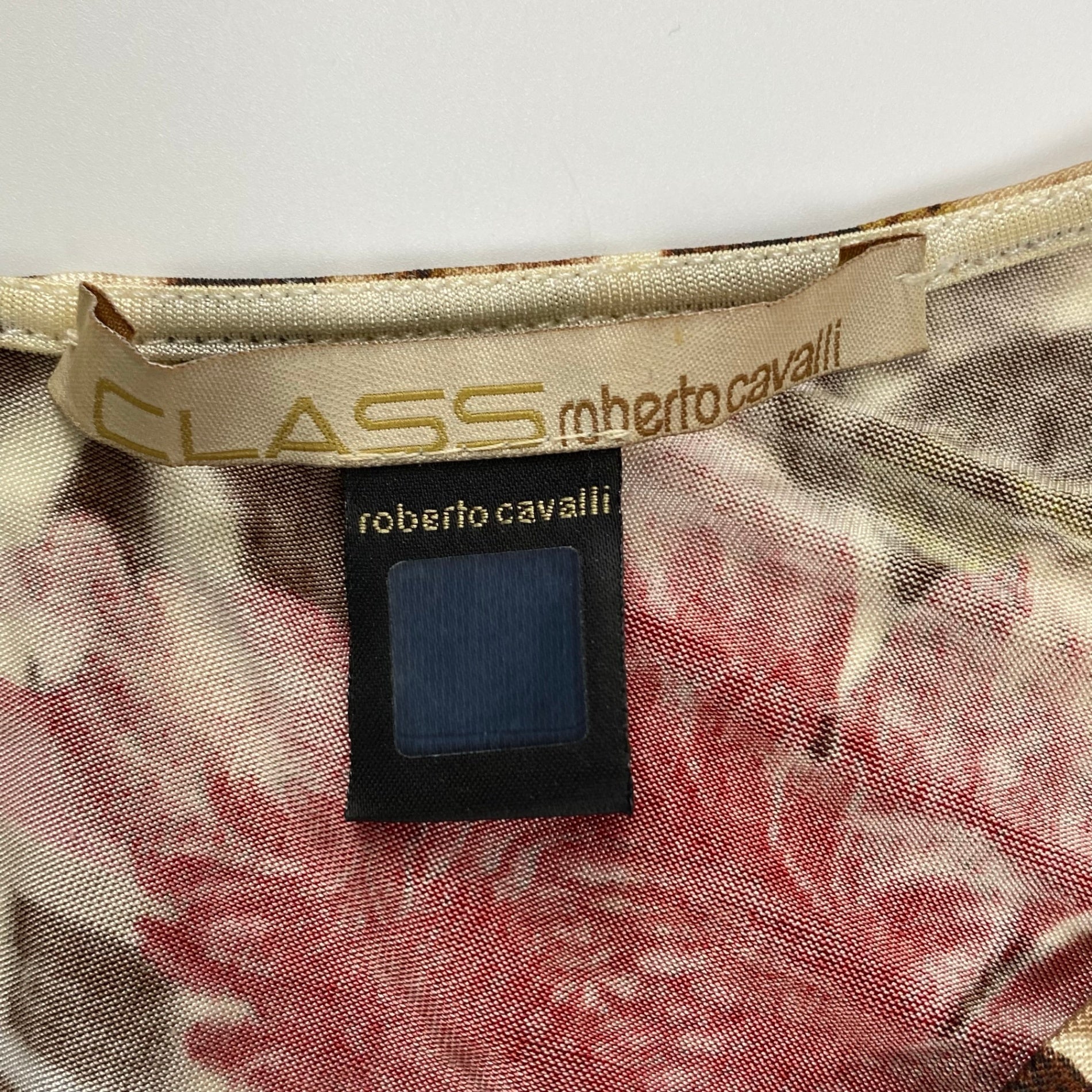 CLASS roberto cavalli クラス ロベルトカヴァリ / ボタニカルデザインカットソー ゼブラモチーフ金具 SIZE：42