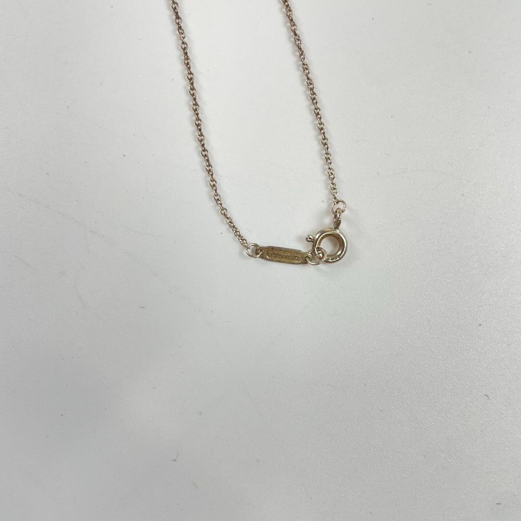 TIFFANY＆CO ティファニー / ブルーダブルハートタグペンダント 参考定価：44,000+tax