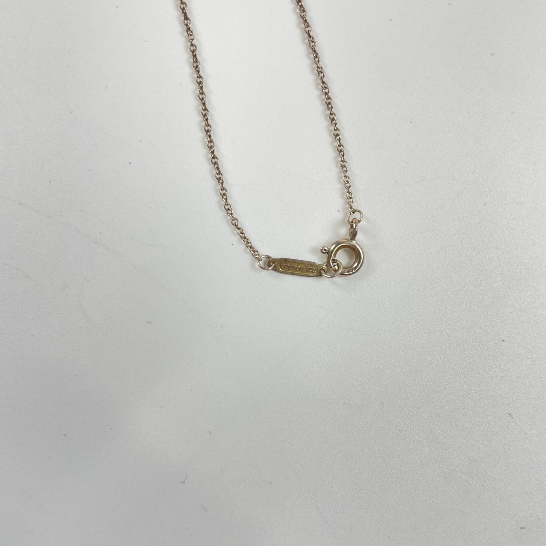 TIFFANY＆CO ティファニー / ブルーダブルハートタグペンダント 参考定価：44,000+tax