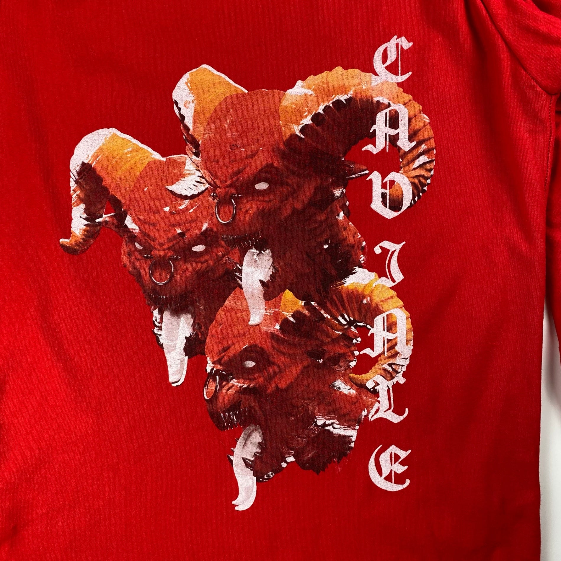 CAVIALE カビアーレ / レイヤード Ｔシャツ ロンドン発 イギリス製 nubian取り扱い  SIZE：S（L程度）