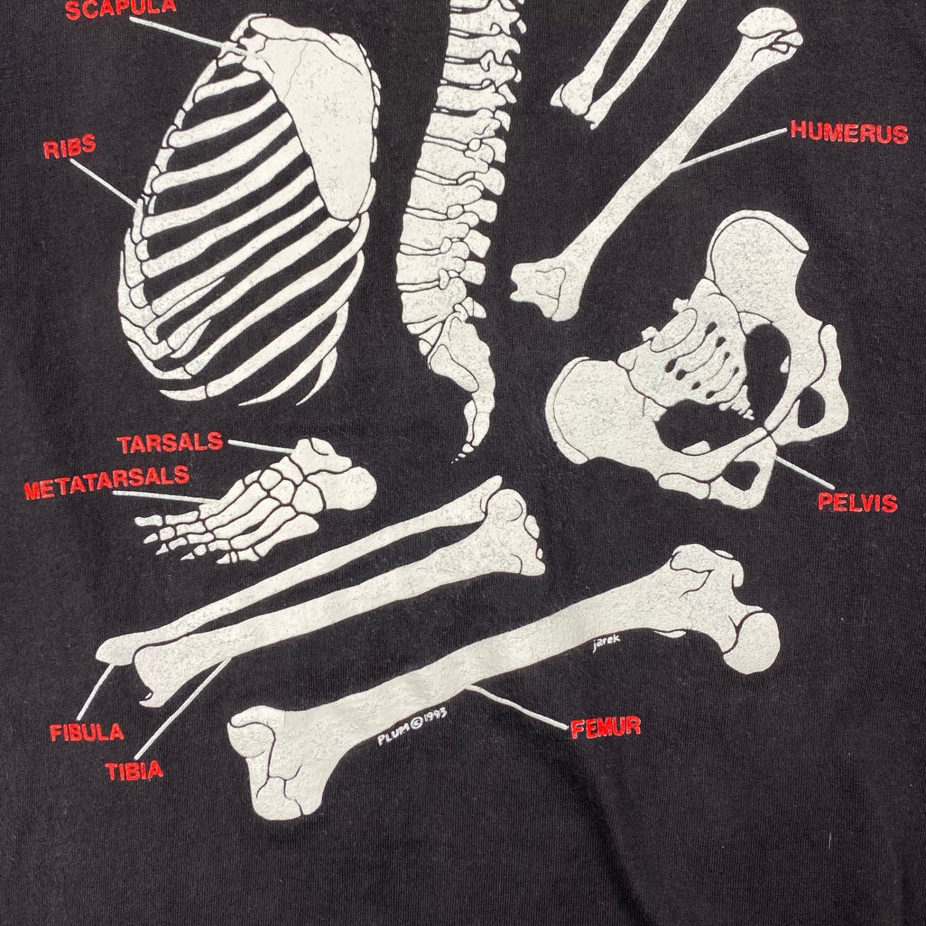 90s VINTAGE ONEITA オニータ / スカル ボーン ヴィンテージ Tシャツ SIZE:L