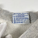 VINTAGE Hanes / 90s USA製リバース仕様スウェット ミシガン大学 SIZE:L