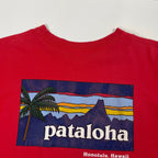 patagonia pataloha / 90sUSA生地 オーガニックコットンTEE  SIZE：M
