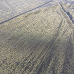 DIET BUTCHER SLIM SKIN ダイエットブッチャースリムスキン / ブラック×ゴールド オーバーサイズTEE 参考定価：12,000程度 SIZE：FREE