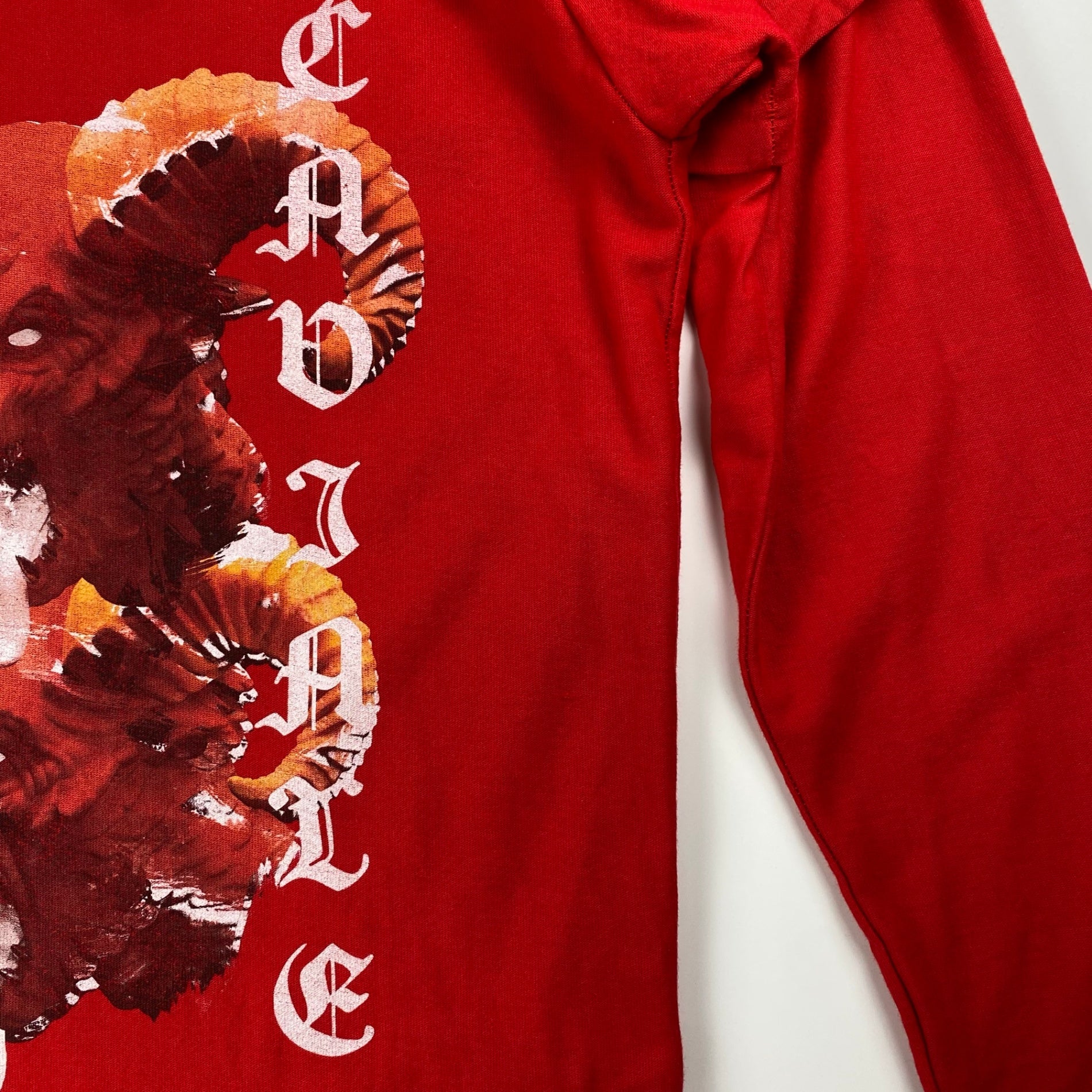 CAVIALE カビアーレ / レイヤード Ｔシャツ ロンドン発 イギリス製 nubian取り扱い  SIZE：S（L程度）