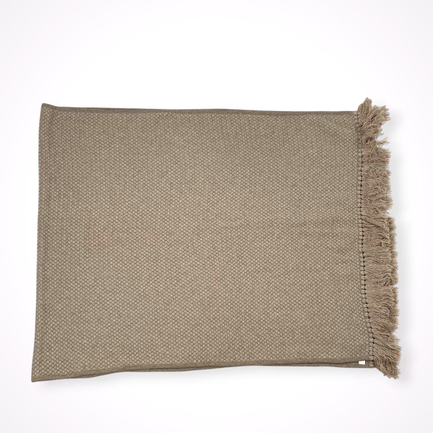 AGNONA / カシミヤ100％ 大判マフラー 参考定価：120,000程度