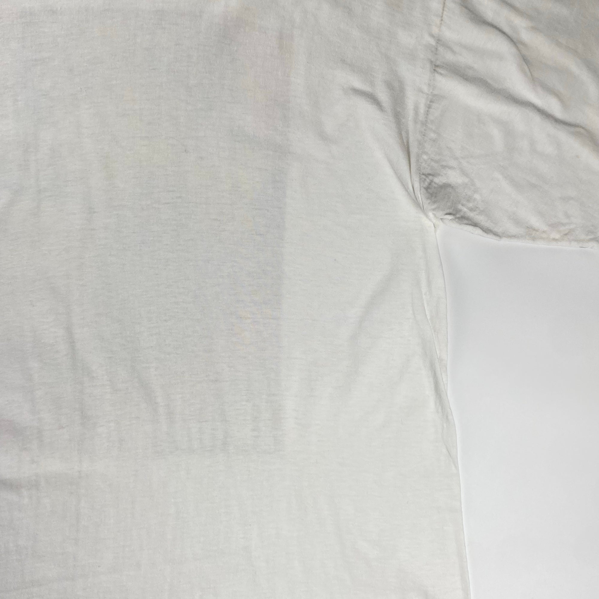 VINTAGE CLAUDE MONET クロード モネ / VINTAGE The Japanese Bridge TEE 絵画 ヴィンテージ アート Tシャツ SIZE：L