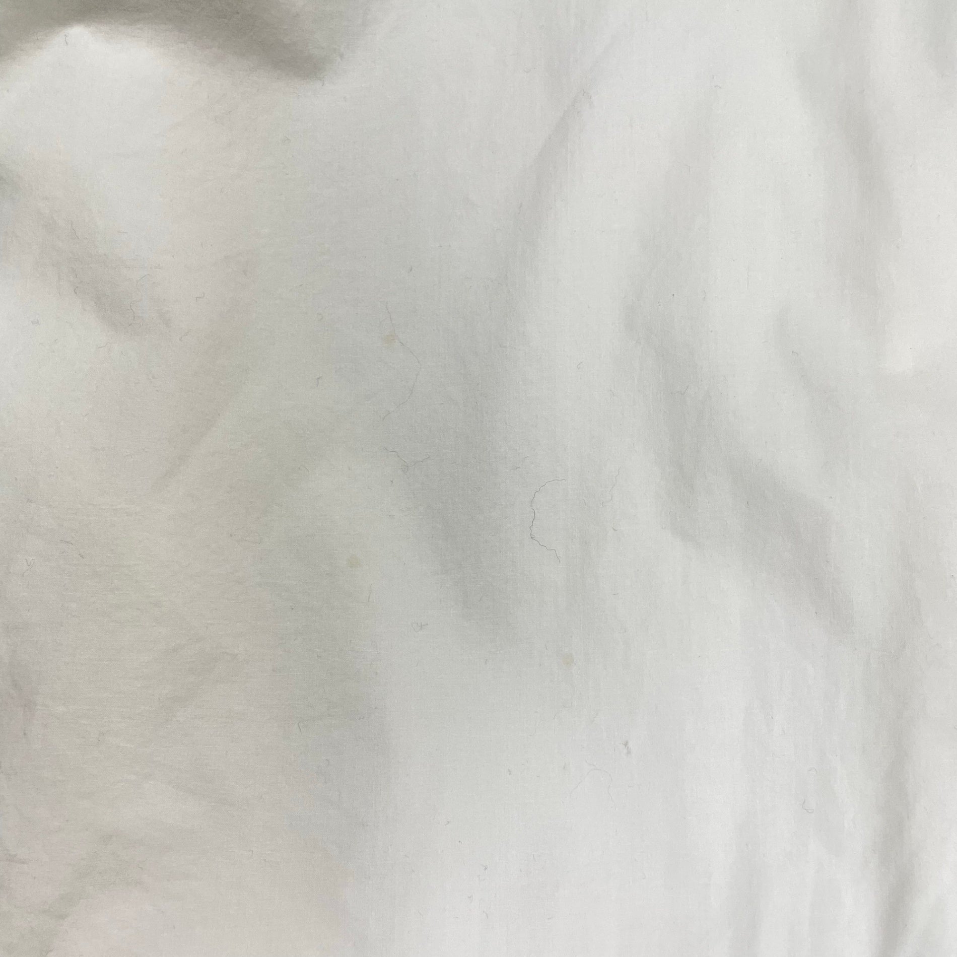 desert デザート / 80s アーカイブプルオーバーシャツ ホワイト SIZE：XL程度