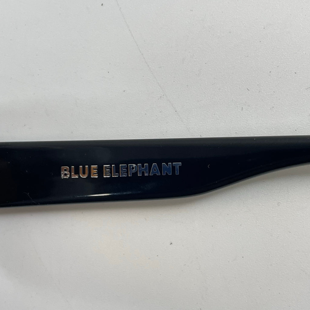 BLUE ELEPHANT / VISIONサングラス 箱付 SIZE:52□21-146