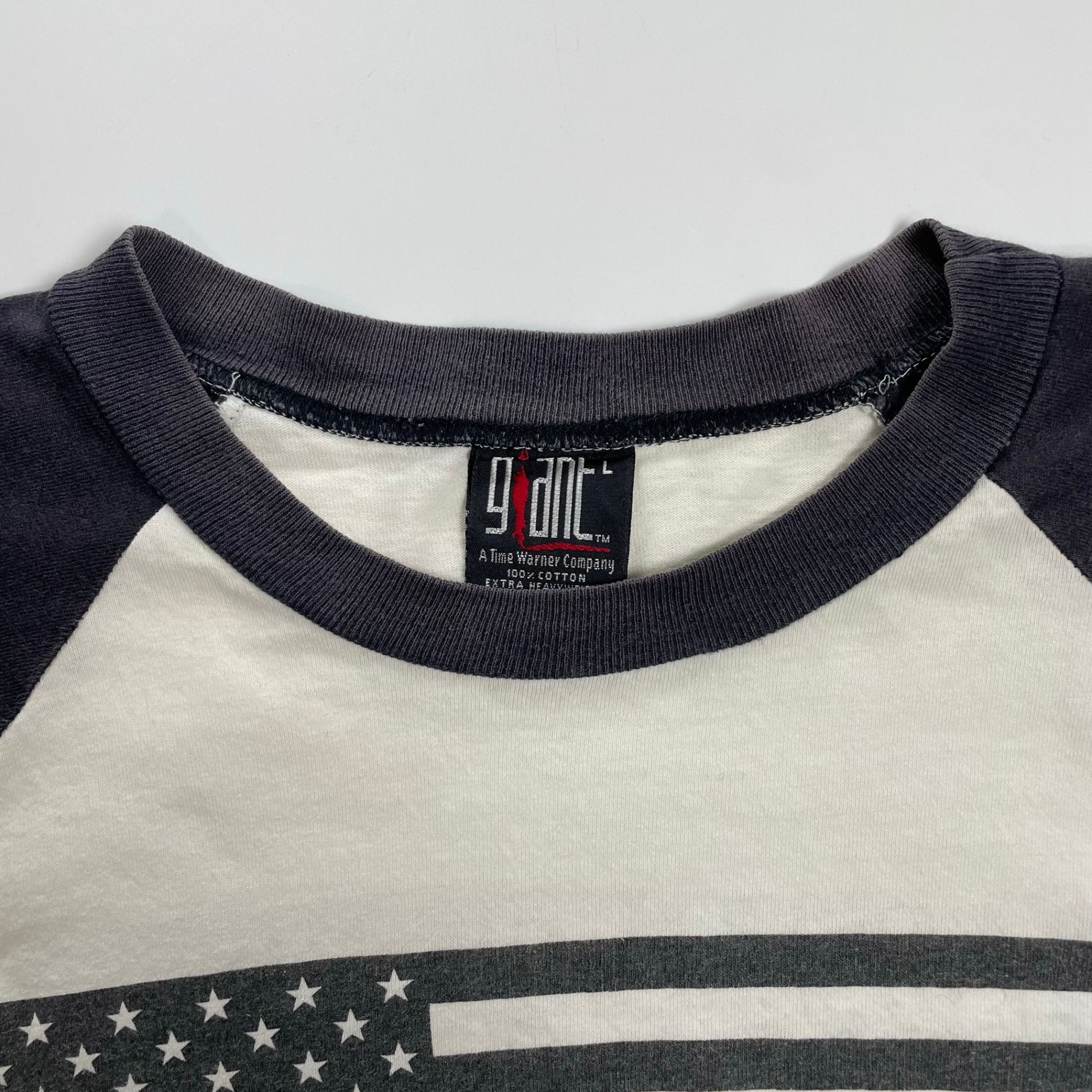 RAGE AGAINST THE MACHINE / 96年コピーライト オリジナル 「EVIL EMPIRE」 ラグランTEE 1オーナー品 SIZE:L