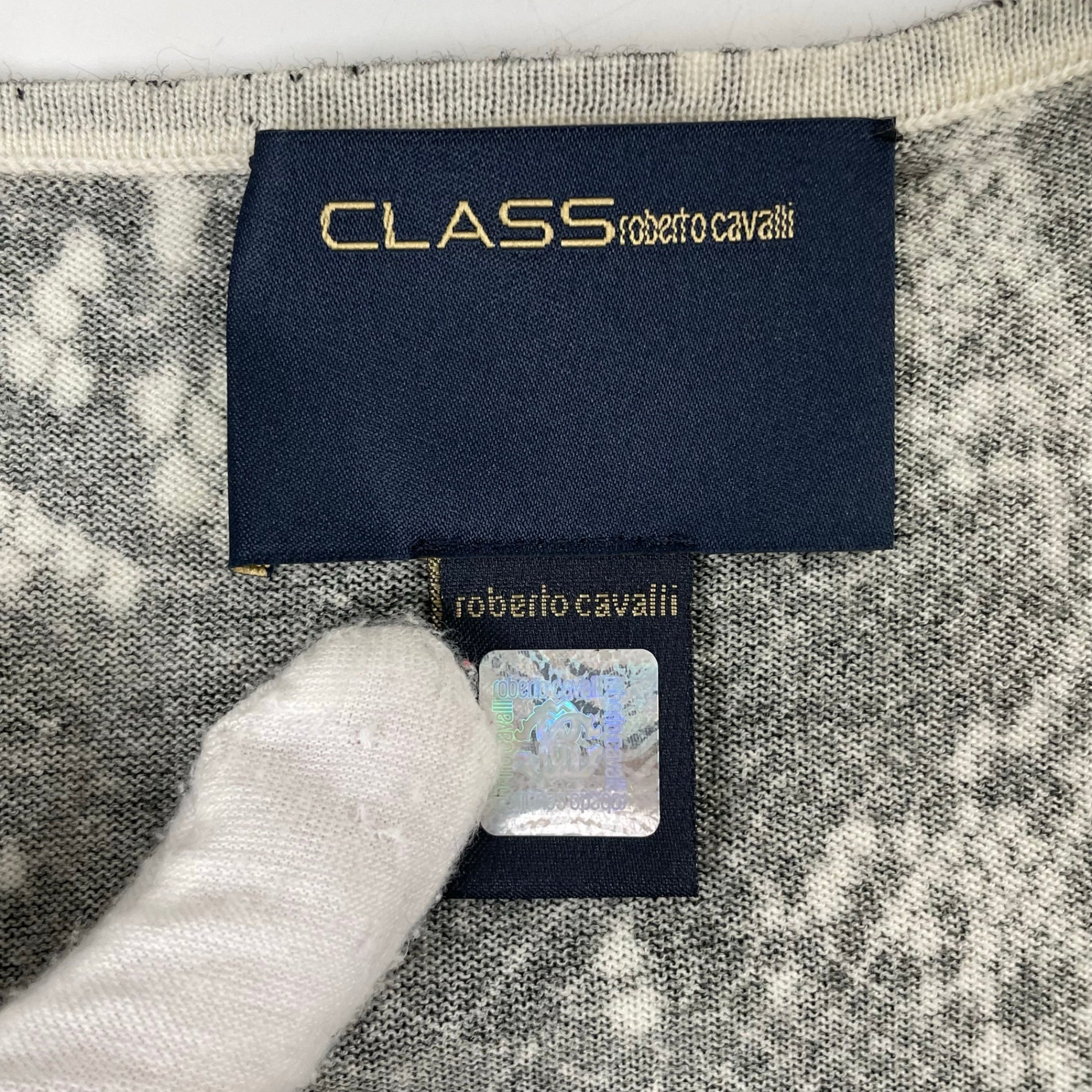 CLASS roberto cavalli / パイソン柄ウールニット  参考定価：60,000程度 SIZE:44