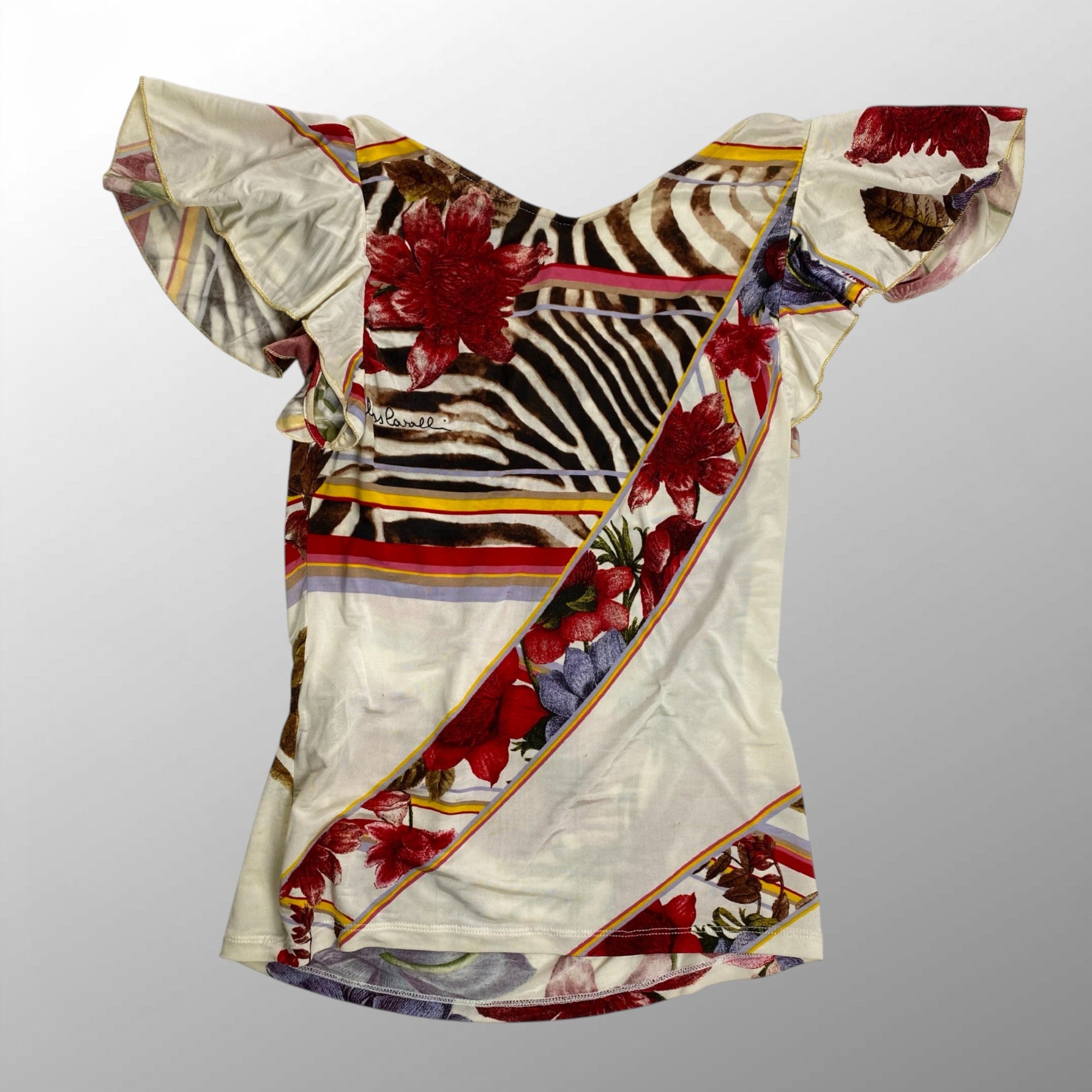 CLASS roberto cavalli クラス ロベルトカヴァリ / ボタニカルデザインカットソー ゼブラモチーフ金具 SIZE：42