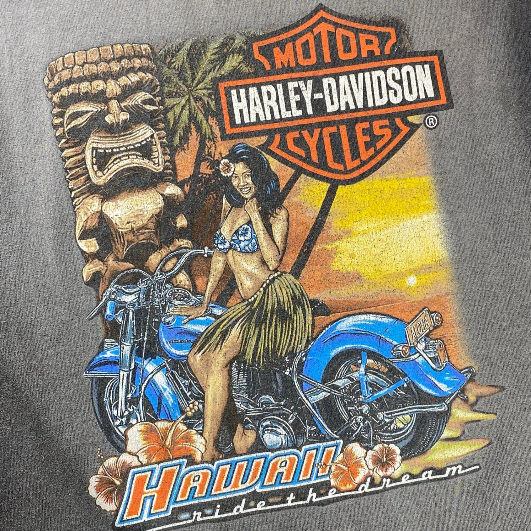 8-90s OLD HARLEY DAVIDSON ハーレーダビッドソン / フェード 両面プリント ヴィンテージ Tシャツ 鬼フェード 襤褸 SIZE：L