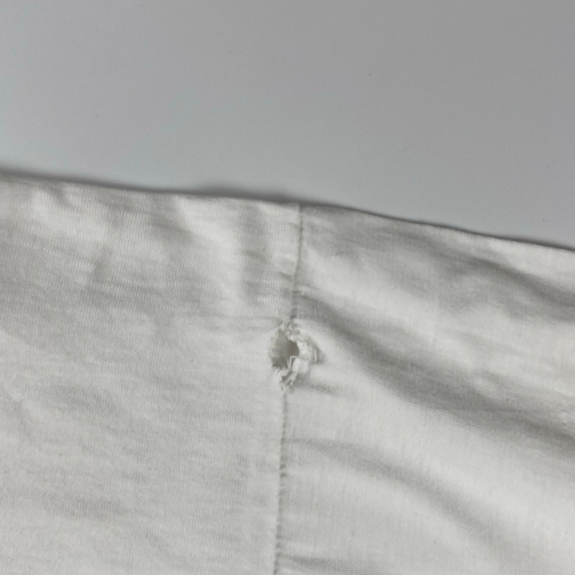 VINTAGE CLAUDE MONET クロード モネ / VINTAGE The Japanese Bridge TEE 絵画 ヴィンテージ アート Tシャツ SIZE：L