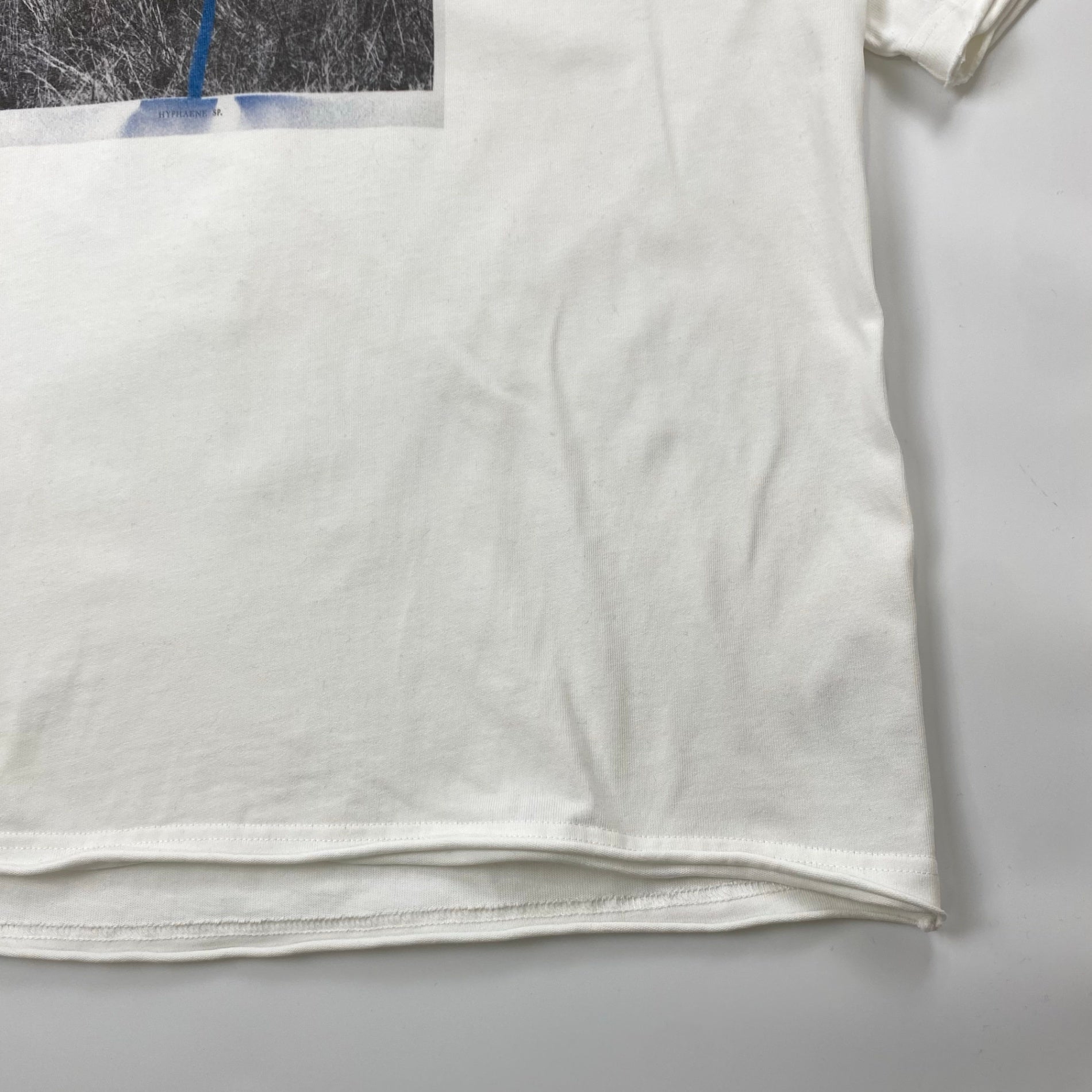 KENZO ケンゾー / グラフィック プリント Tシャツ SIZE：L