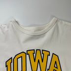 THE SHINZONE / IOWAプリントカットソーワンピース 参考定価：15,000程度 SIZE:FREE