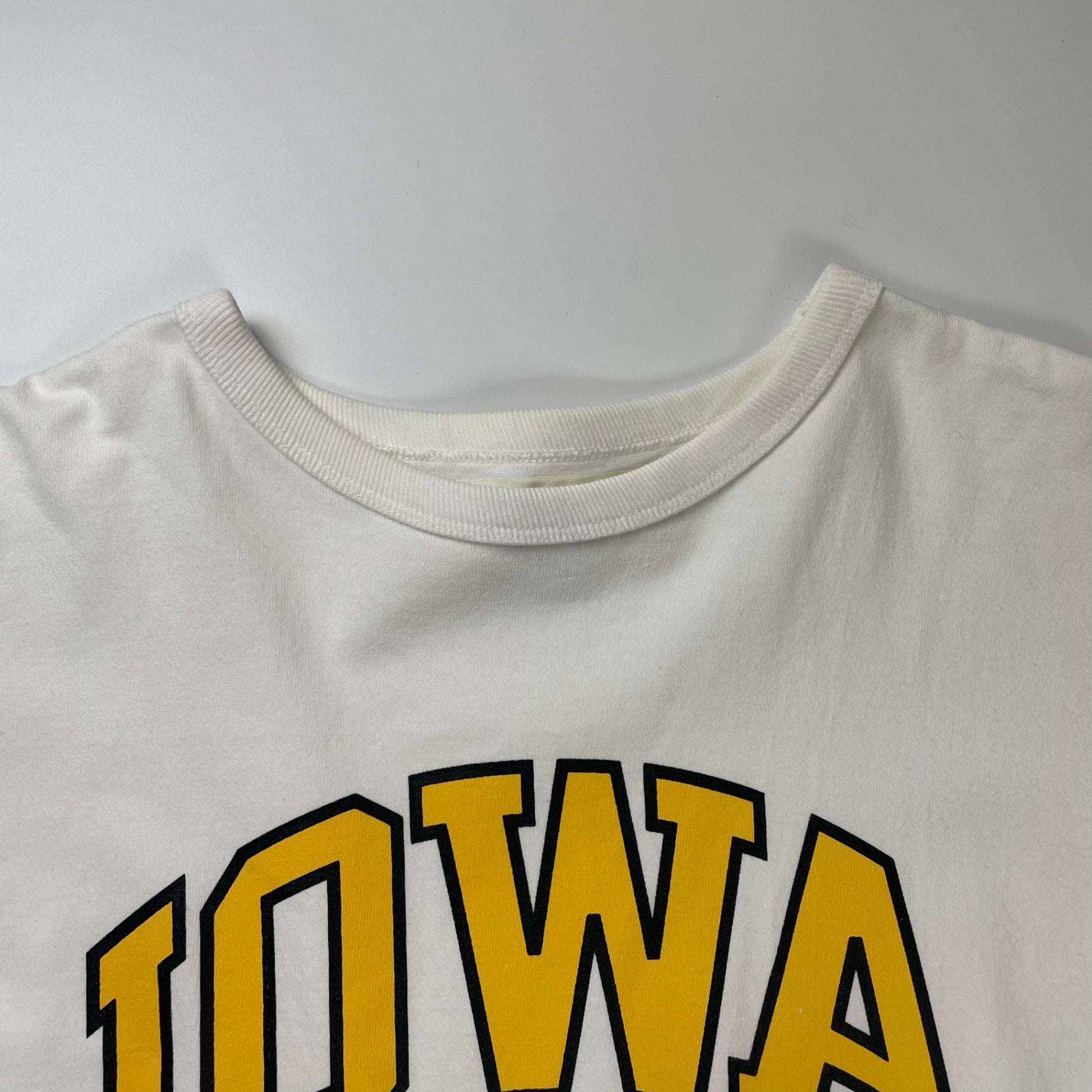 THE SHINZONE / IOWAプリントカットソーワンピース 参考定価：15,000程度 SIZE:FREE