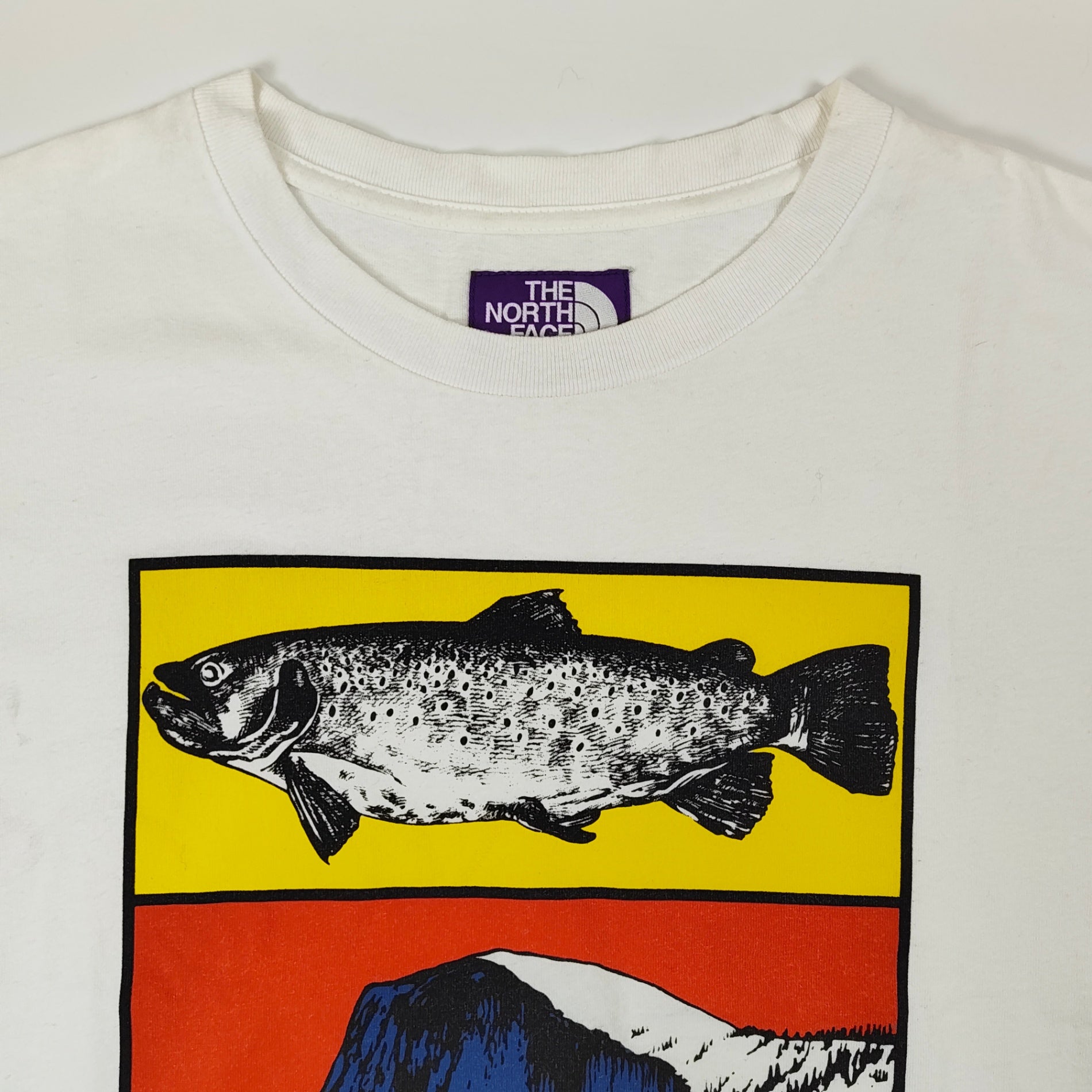 THE NORTH FACE PURPLE LABEL / 5.5oz H/S Graphic Tee NT3927N 参考定価：9,000程度 SIZE:M