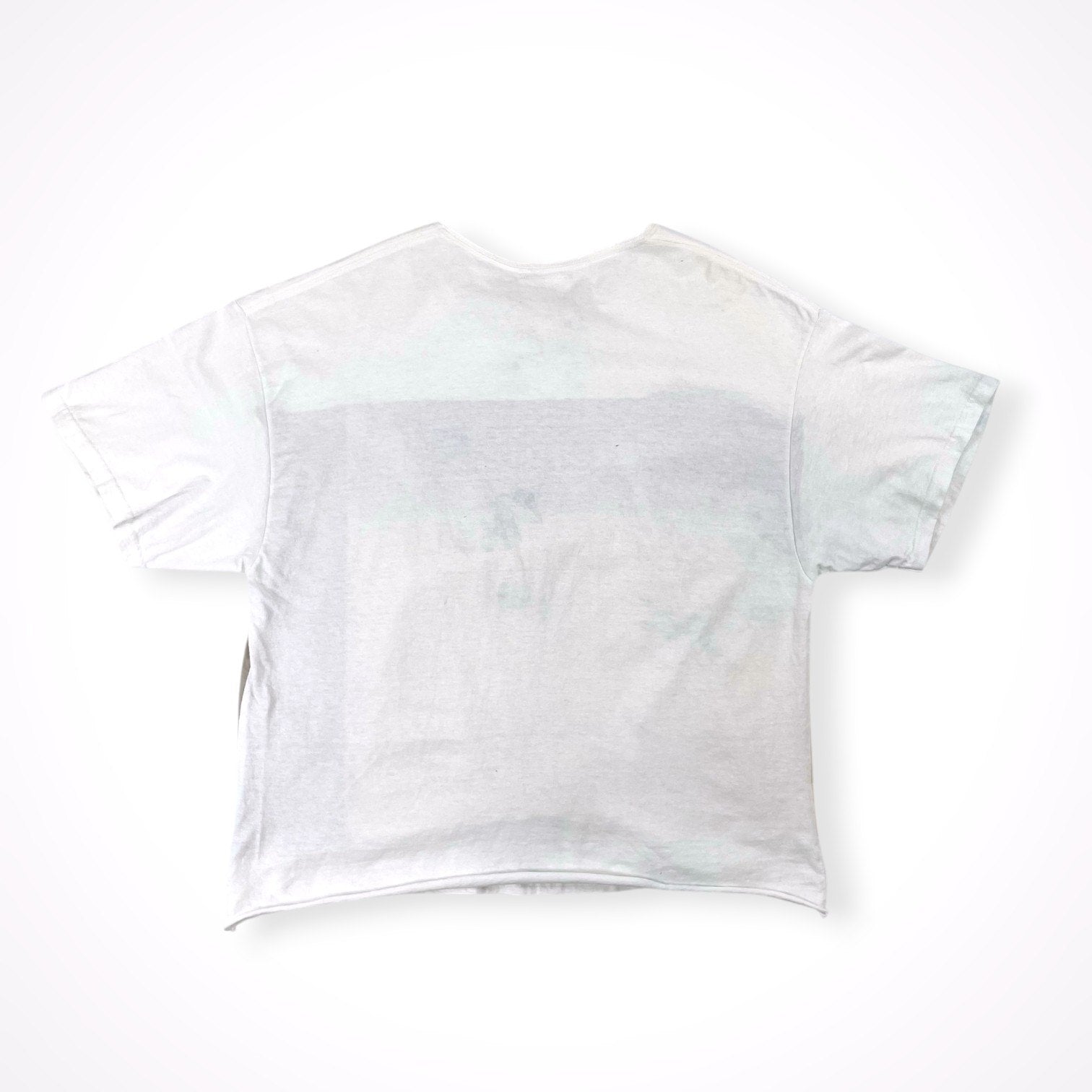 nusumigui / 壁の塗装TEE 参考定価：15,000程度 SIZE:FREE