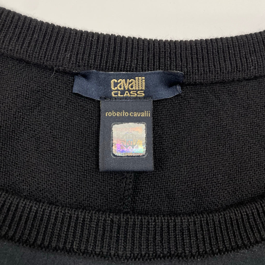 cavalli CLASS ロベルト カヴァリ クラス / レーヨン切替ニット 参考定価：50,000程度 SIZE：42