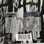 COMME des GARCONS コムデギャルソン / 香水 WONDERWOOD ワンダーウッド 100ml 残量2/3程度 参考定価：22,000+tax