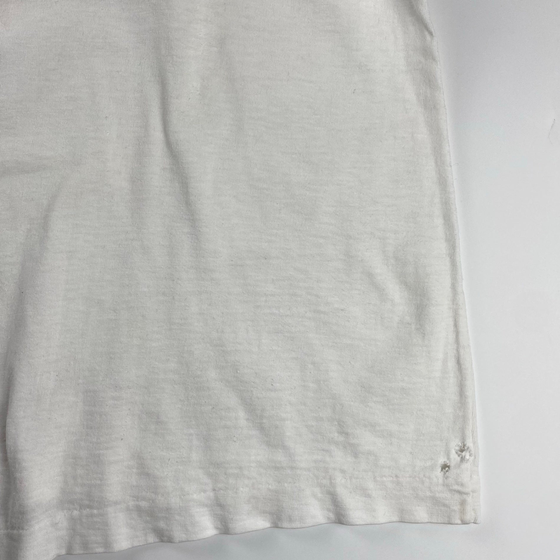 VINTAGE CLAUDE MONET クロード モネ / VINTAGE The Japanese Bridge TEE 絵画 ヴィンテージ アート Tシャツ SIZE：L