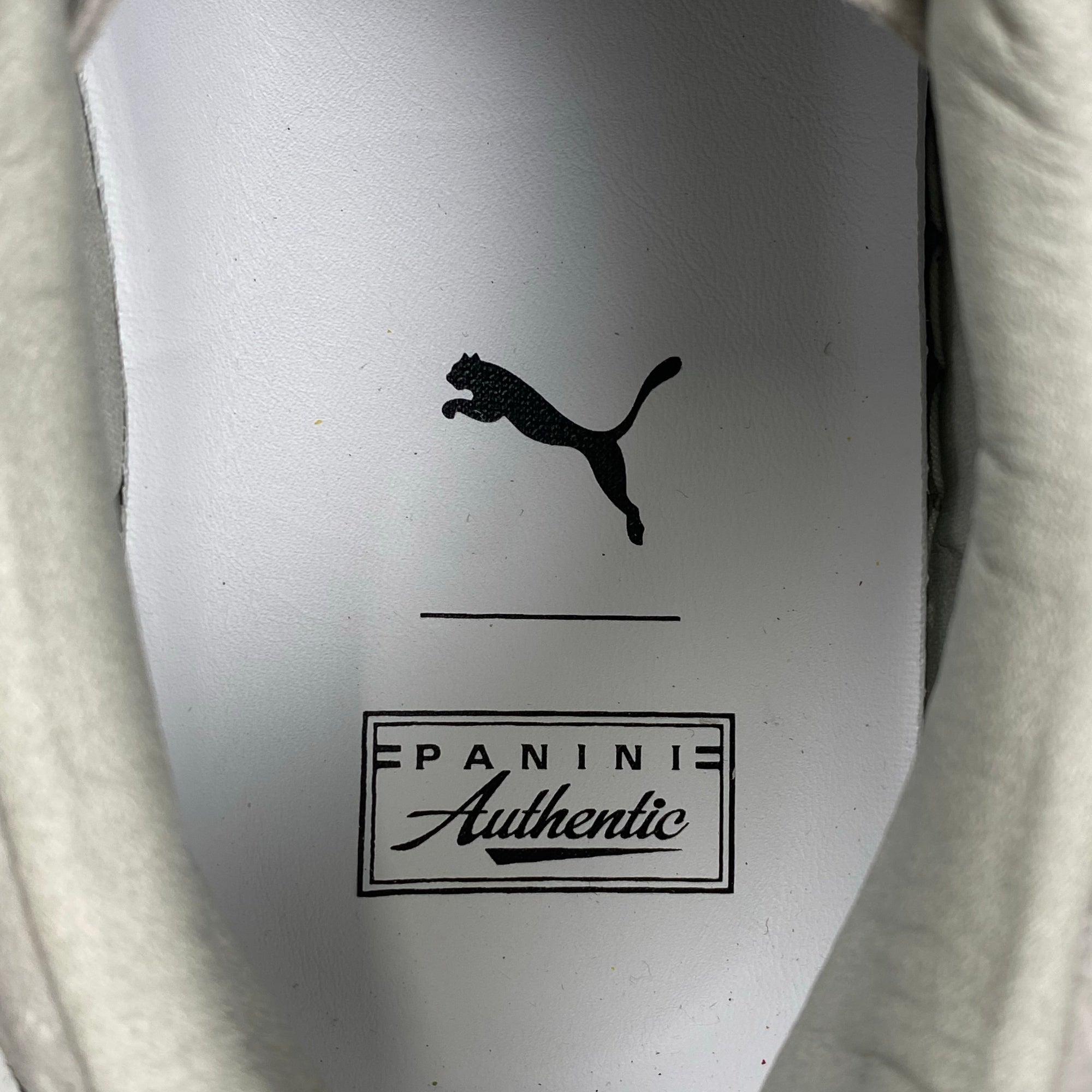 PUMA プーマ × PANINI パニーニ  / SUEDE CLASSIC × PANINI ローカットスニーカー 参考定価：16,000+tax SIZE:27cm