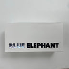 BLUE ELEPHANT / VISIONサングラス 箱付 SIZE:52□21-146