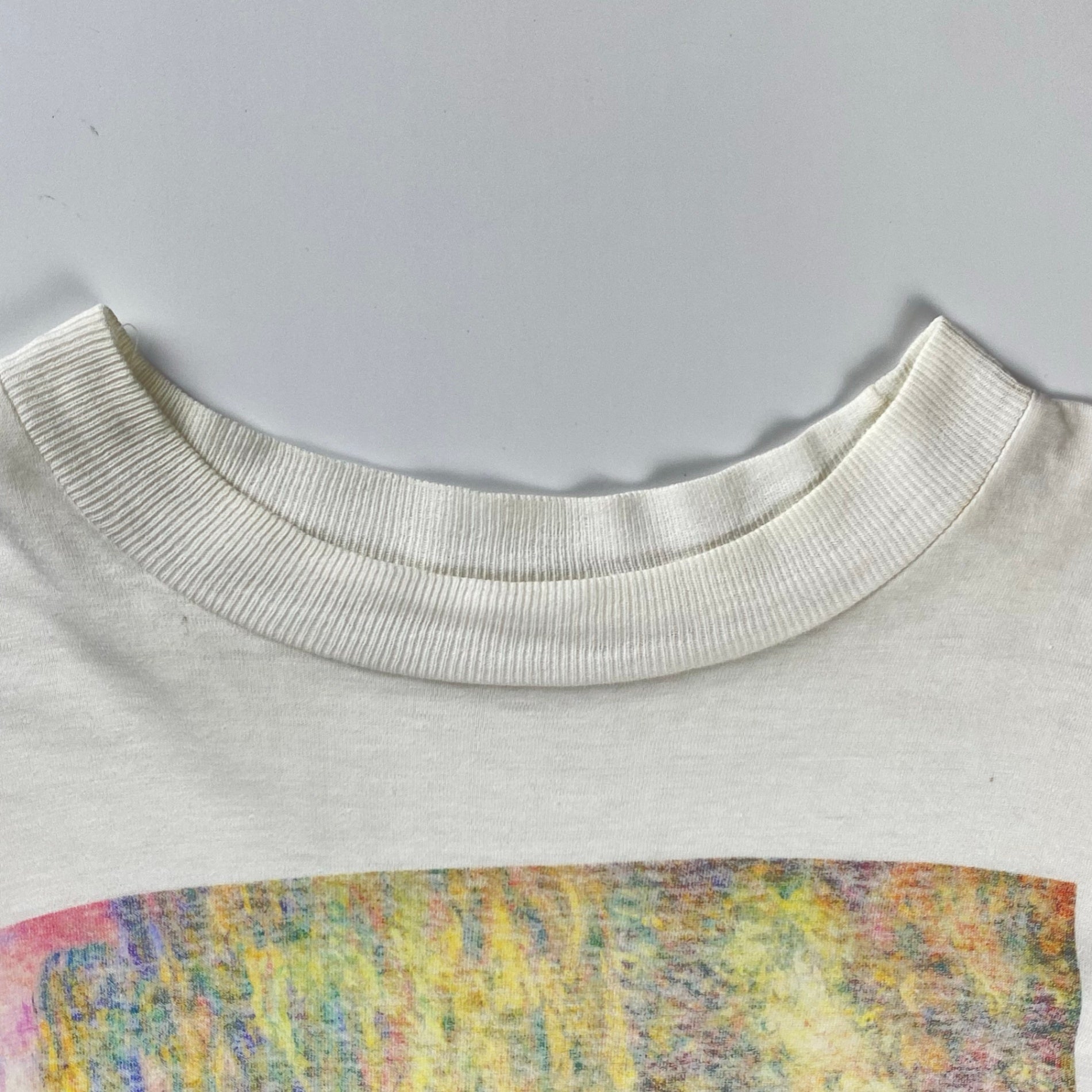 VINTAGE CLAUDE MONET クロード モネ / VINTAGE The Japanese Bridge TEE 絵画 ヴィンテージ アート Tシャツ SIZE：L