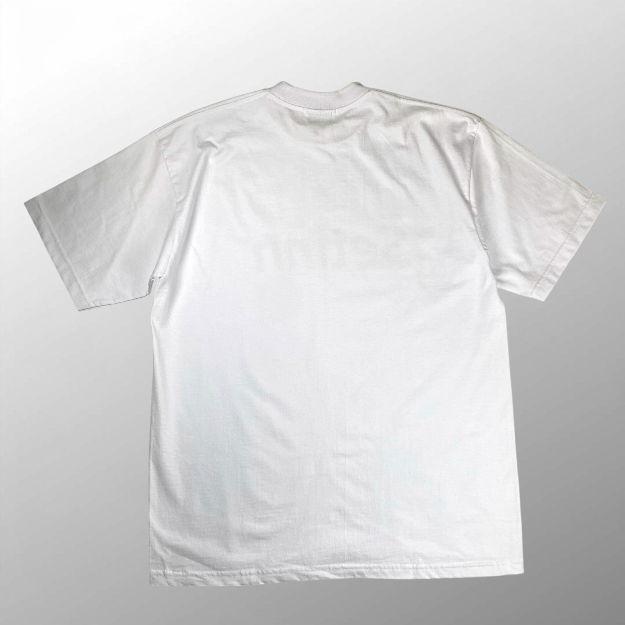 【未使用品】  Setinn セットイン × TOXGO トゥーゴー BEAMS / EXCLUSIVE TSP LOGO TEE 別注 SIZE:L