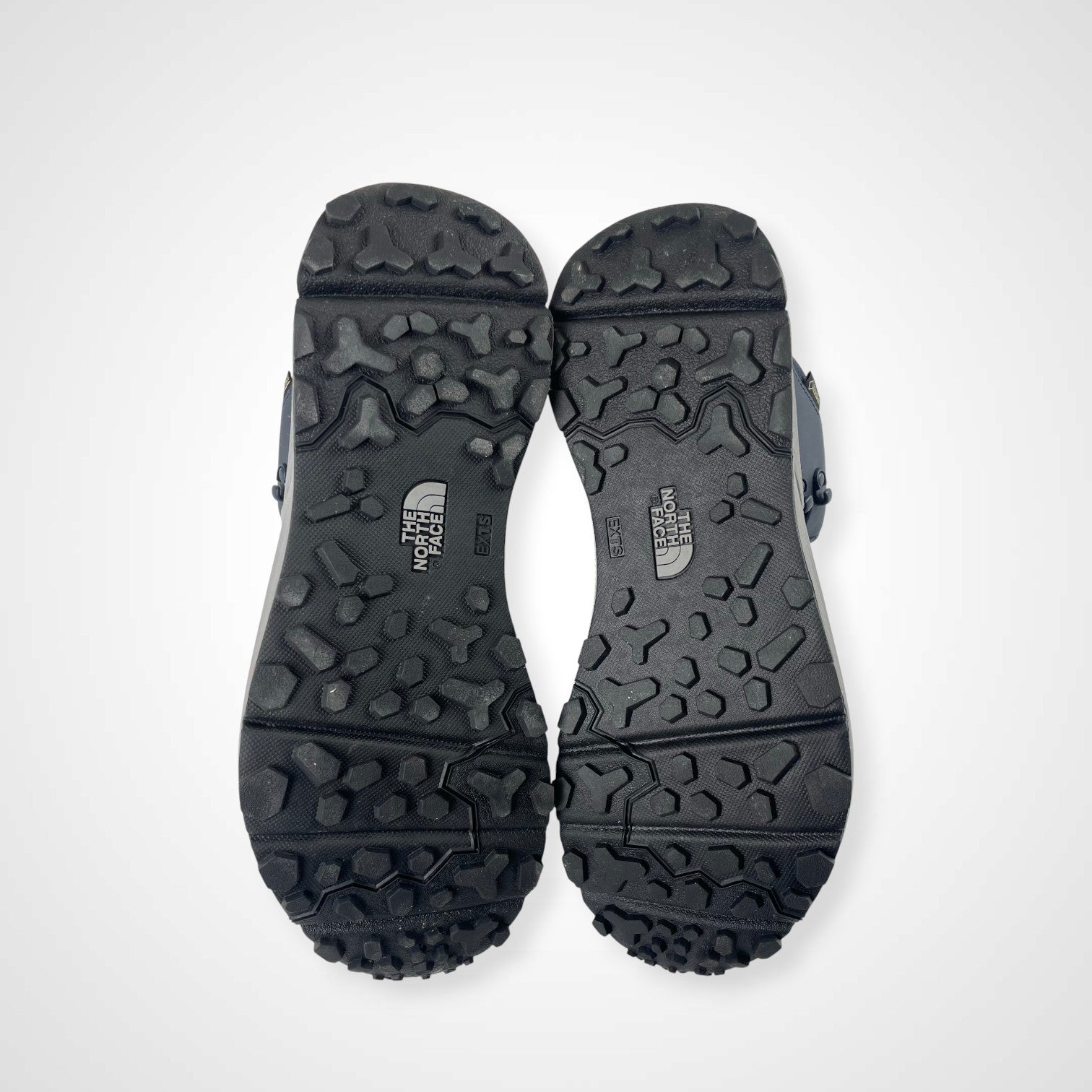 THE NORTH FACE ザ ノースフェイス / GORE-TEXトレッキングシューズ ベクティブタラバル NF0A46J4 参考定価：20,000程度 SIZE:27cm