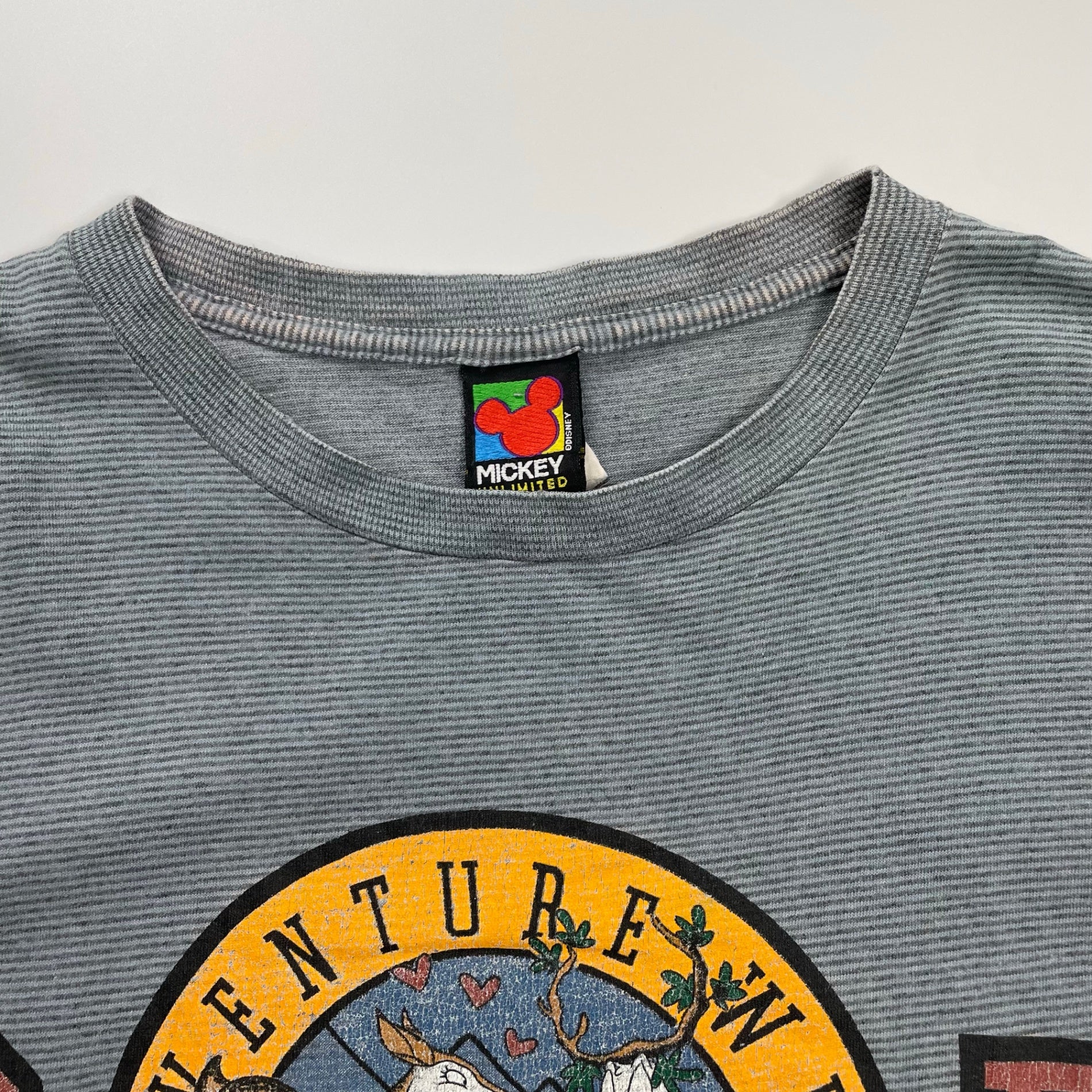 Mickey UNLIMITED ミッキー アンリミテッド DISNEY ディズニー / Great Outdoors TEE ドナルドダック ヴィンテージ SIZE:XL程度