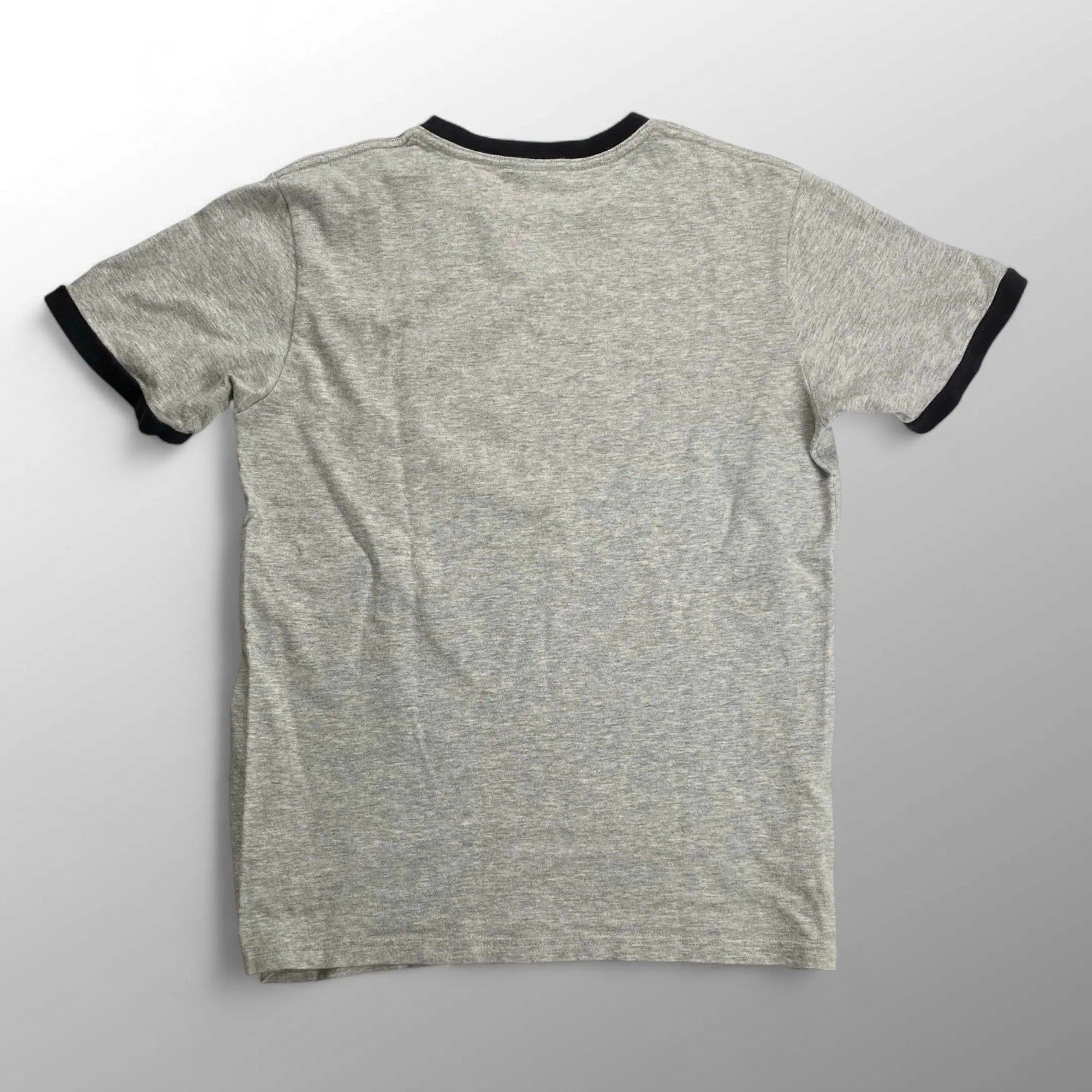 00s NIKE ナイキ / フロッキープリント リンガー ロゴTシャツ ユニセックス SIZE：L