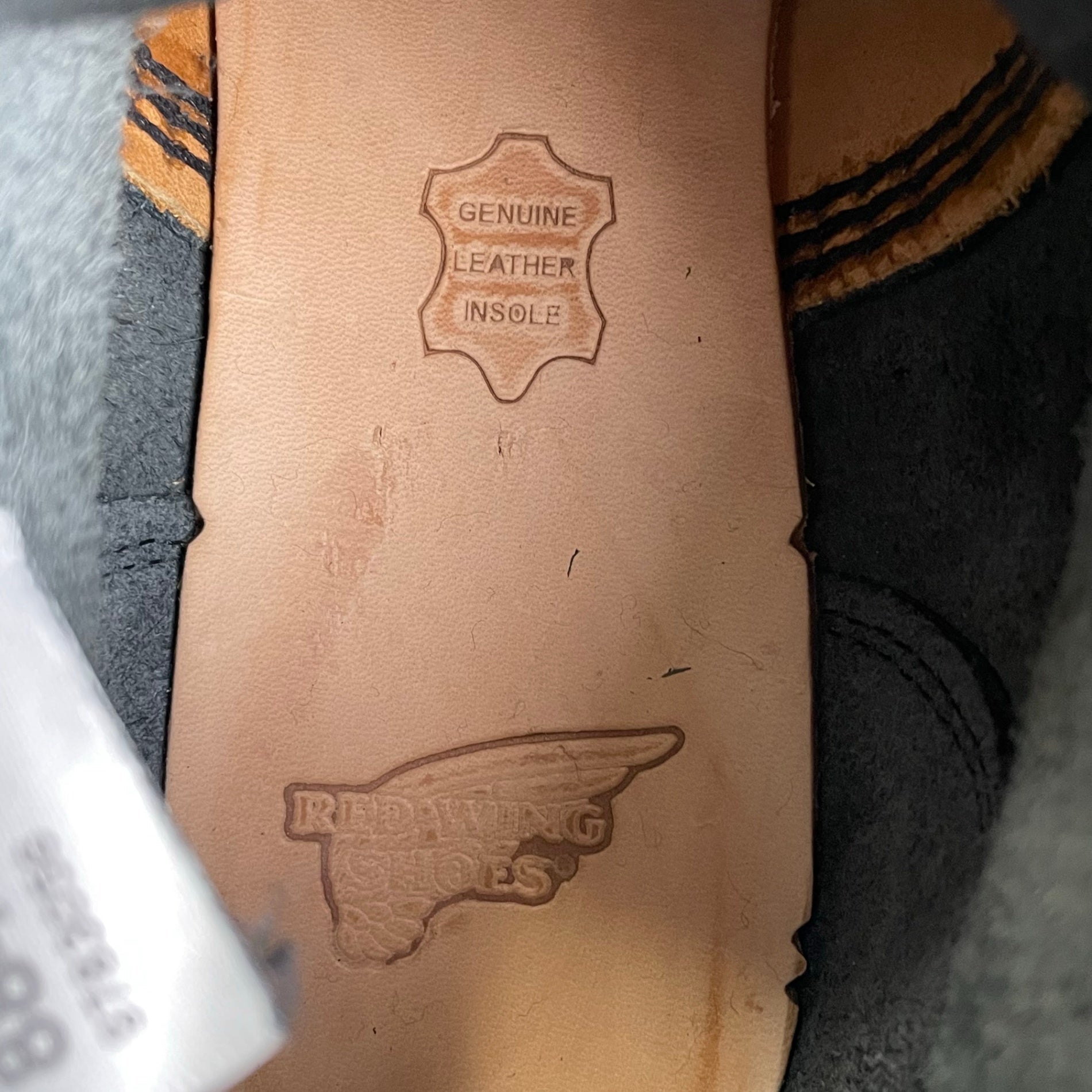 RED WING × FREAK'S STORE レッドウィング フリークスストア / 別注 6-inch Classic Moc ブラック「シャパラル」 8848 ガラスレザー USA製  美品 SIZE:26cm