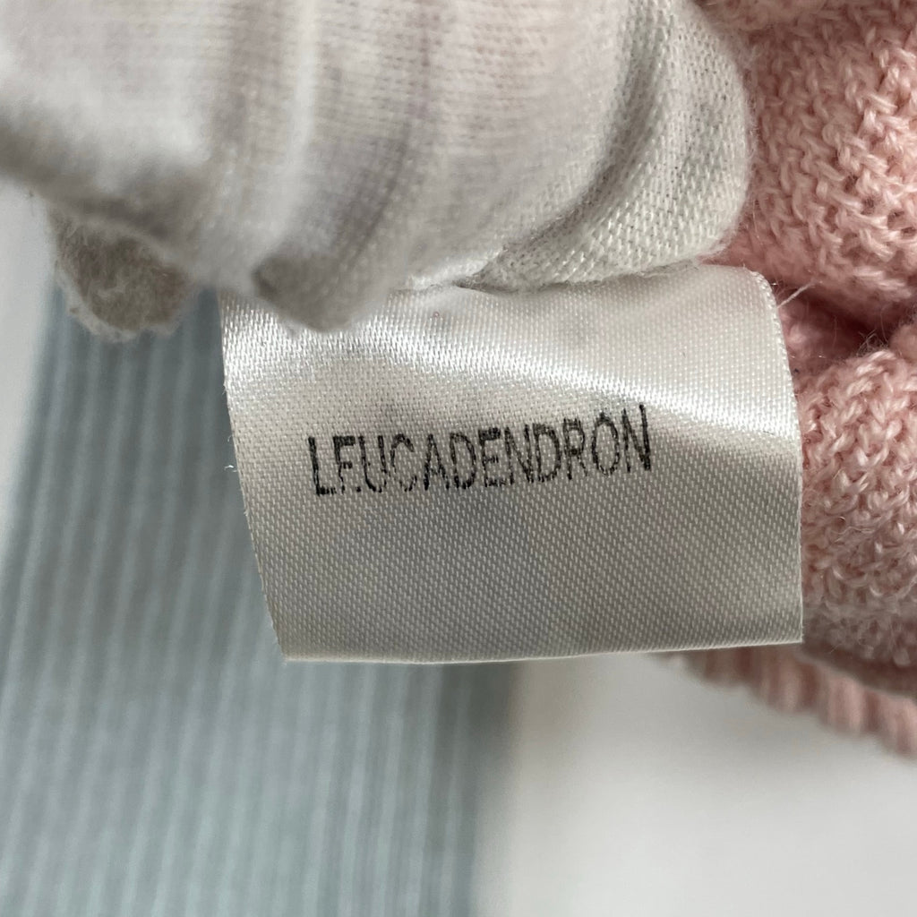 LEUCADENDRON / トゲトゲニット 東京ブランド