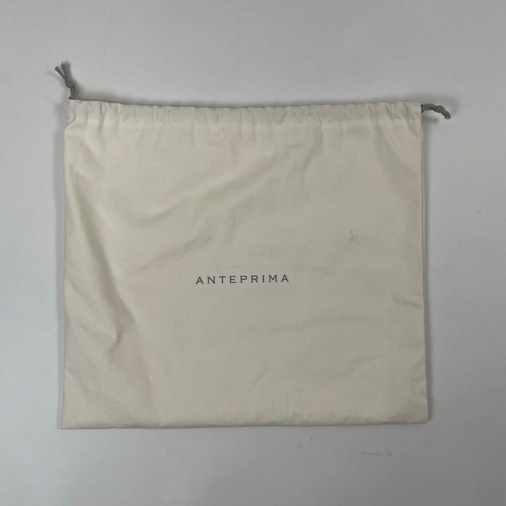 ANTEPRIMA / PECCHIA 2WAYワイヤーハンドバッグ 参考定価：53,000+tax