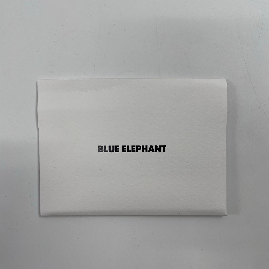 BLUE ELEPHANT / VISIONサングラス 箱付 SIZE:52□21-146