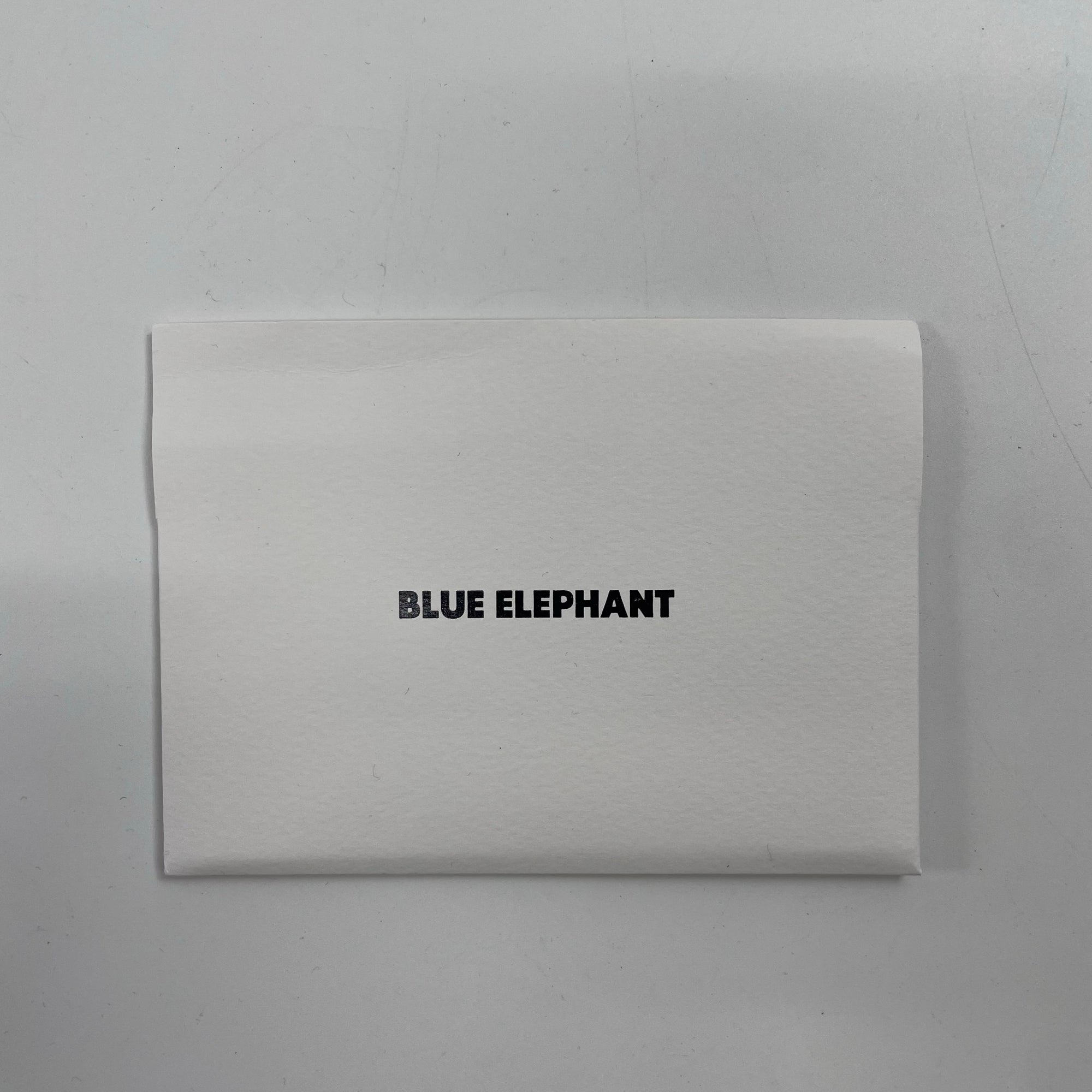 BLUE ELEPHANT / VISIONサングラス 箱付 SIZE:52□21-146