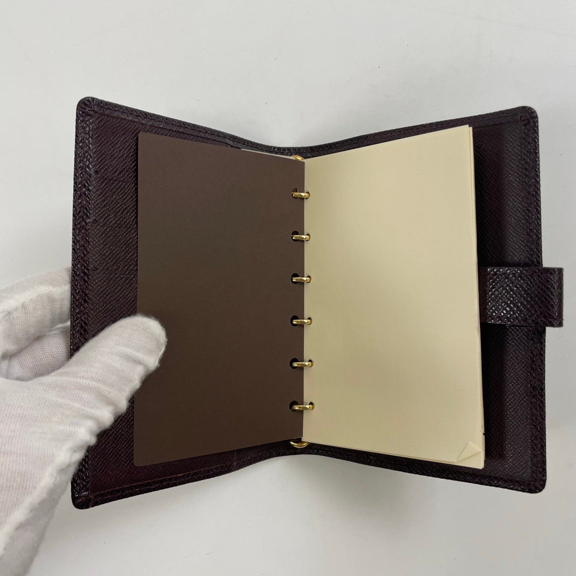 LOUIS VUITTON / アジェンダPM タイガ R20434