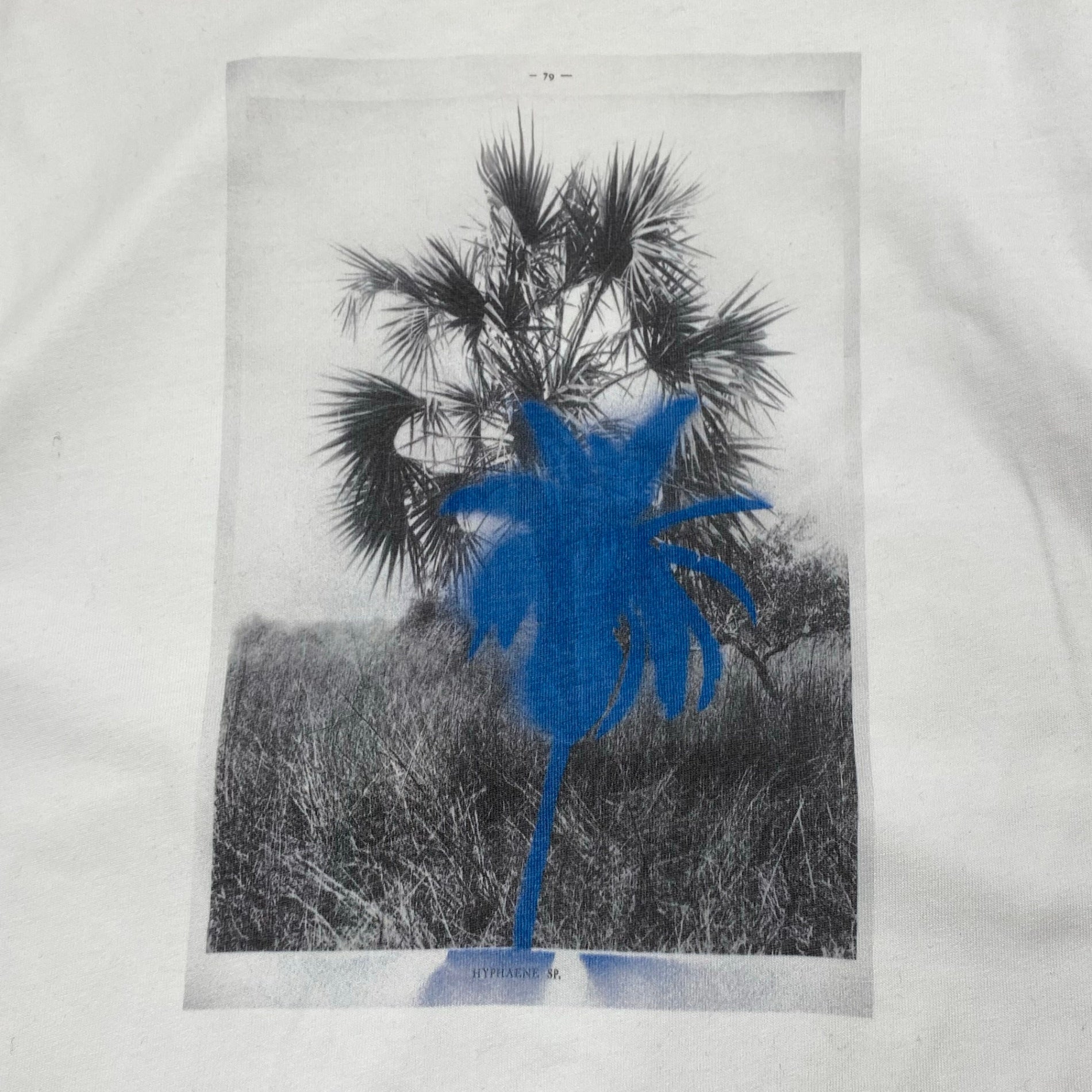 KENZO ケンゾー / グラフィック プリント Tシャツ SIZE：L