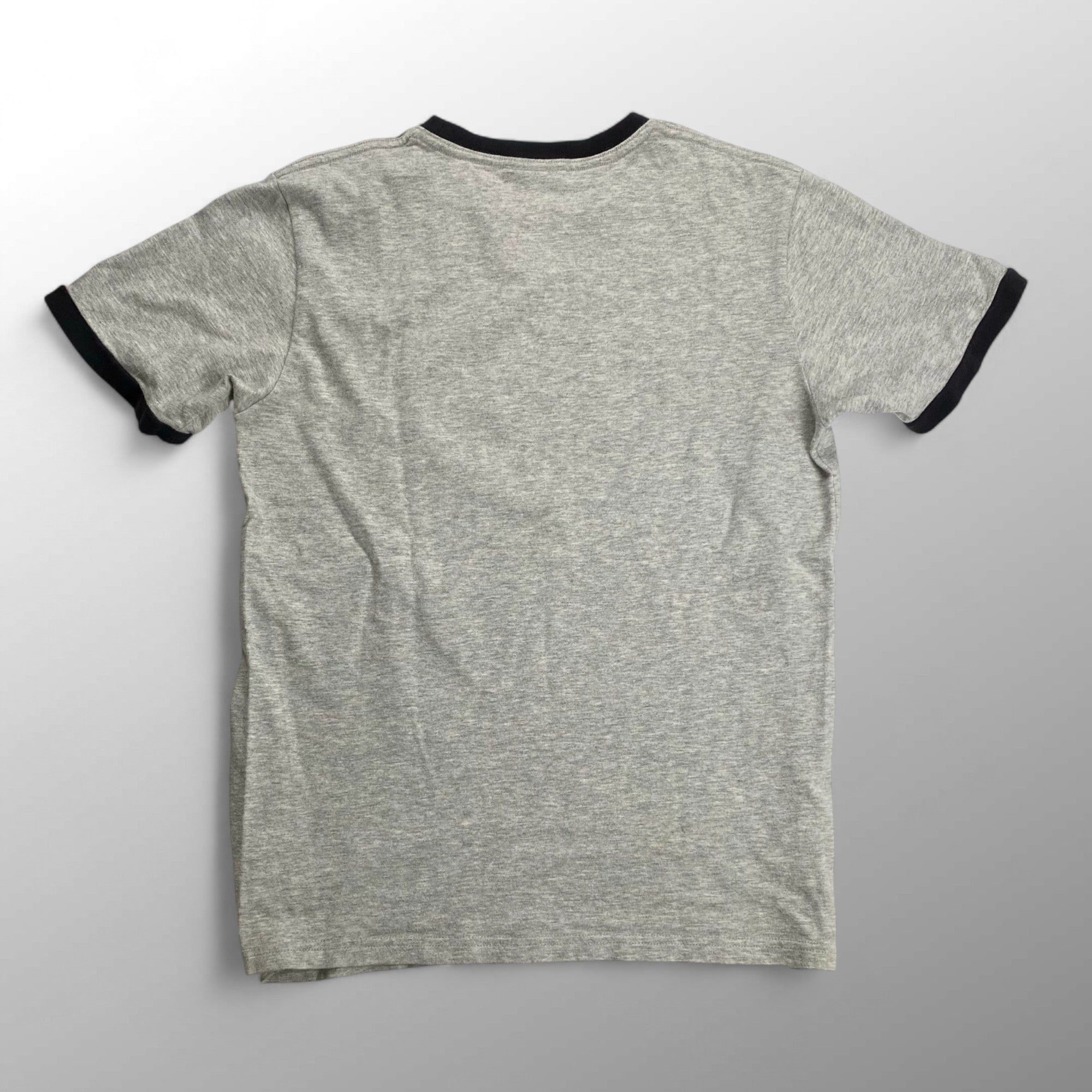 00s NIKE ナイキ / フロッキープリント リンガー ロゴTシャツ ユニセックス SIZE：L