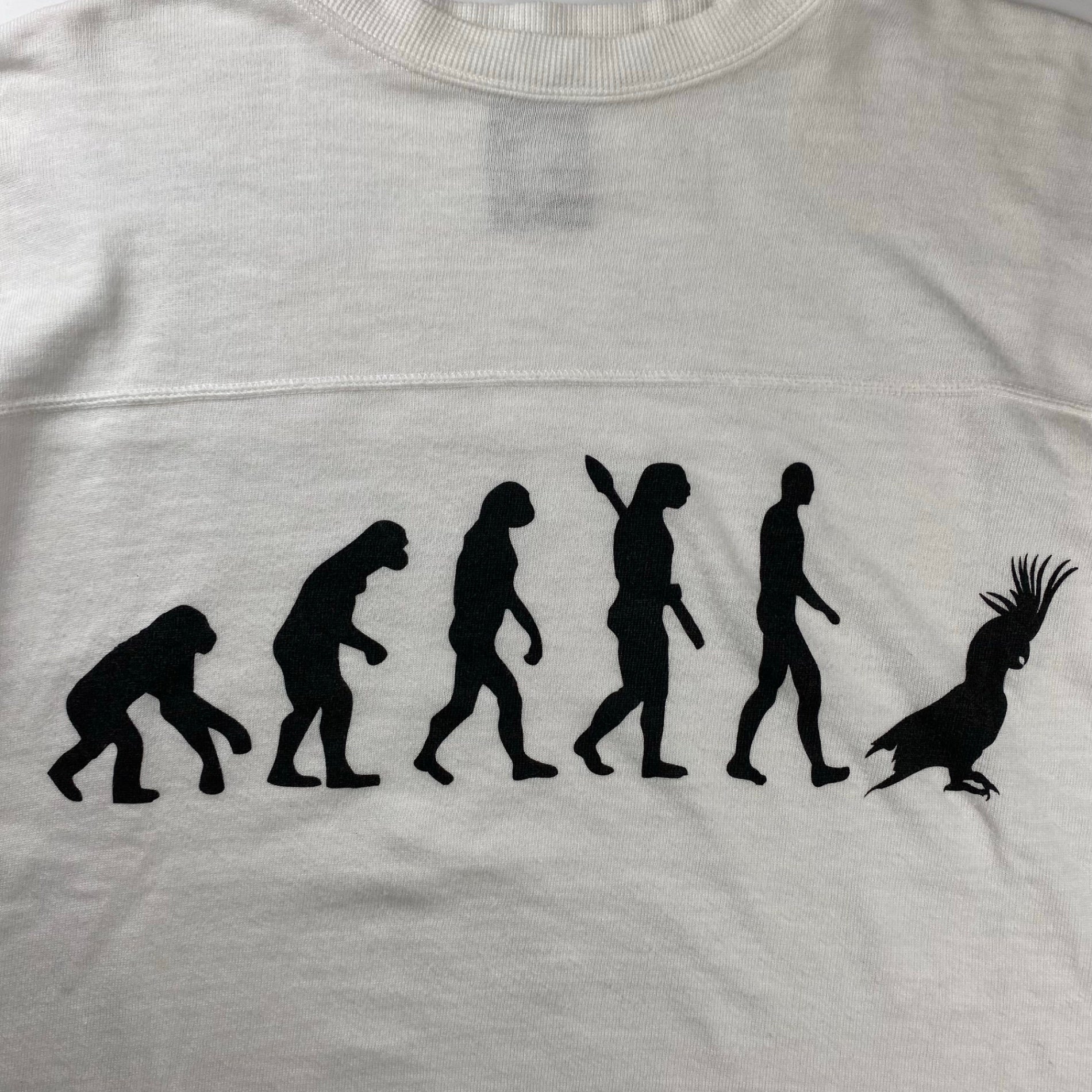 Bernhard Willhelm ベルンハルト ウィルヘルム / ”進化論” TEE PAT MARKET取り扱いブランド SIZE：M