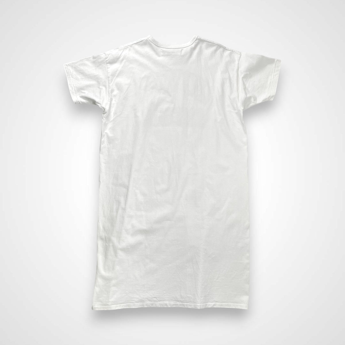 THE SHINZONE / IOWAプリントカットソーワンピース 参考定価：15,000程度 SIZE:FREE