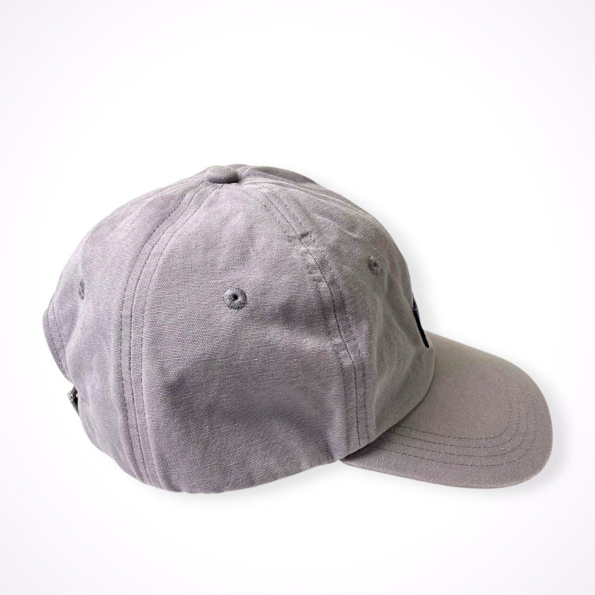 patagonia / P-6ラベルキャップ グレーパープル